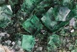 Green, Fluorescent Fluorite Cluster - Rogerley Mine #99454-2